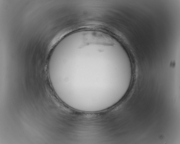 X0000112461362200908171006