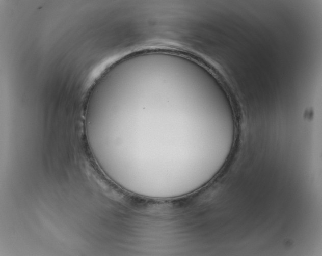 X0000112461363200908171006