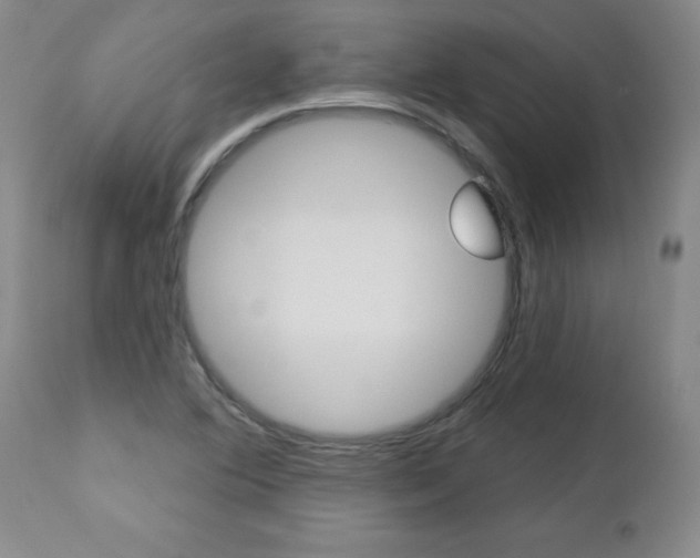X0000112461364200908171006