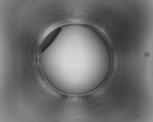 X0000112461365200908171006