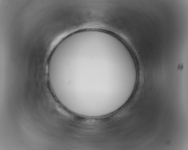 X0000112461366200908171006