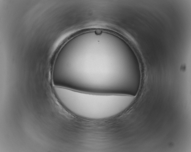 X0000112461368200908171006