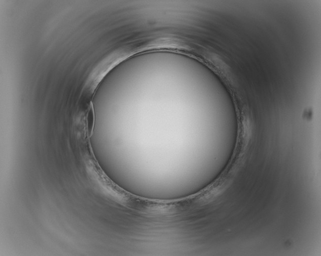 X0000112461369200908171006