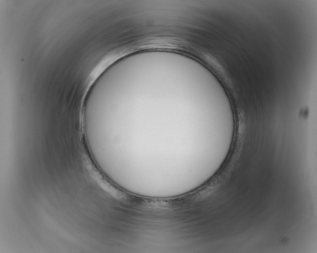 X0000112461370200908171006