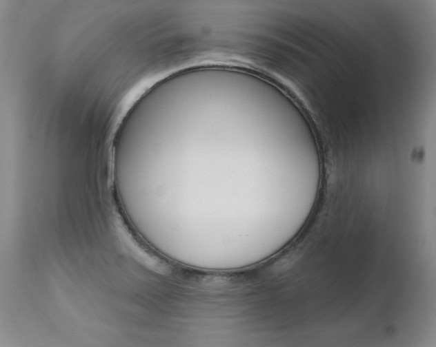 X0000112461371200908171006