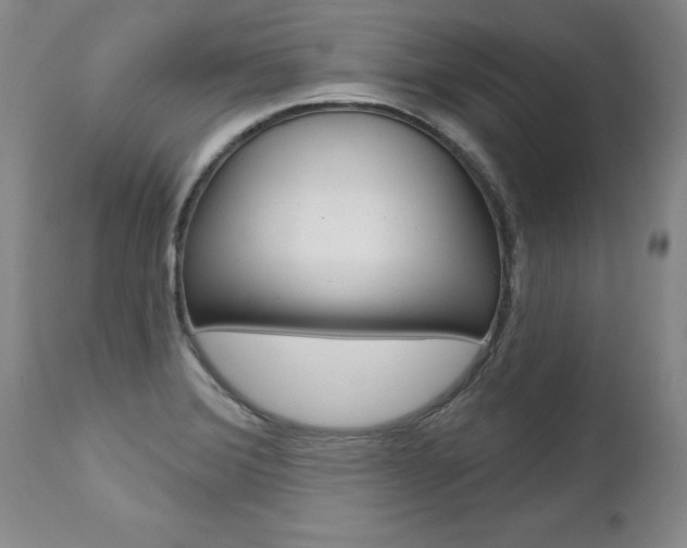 X0000112461372200908171006