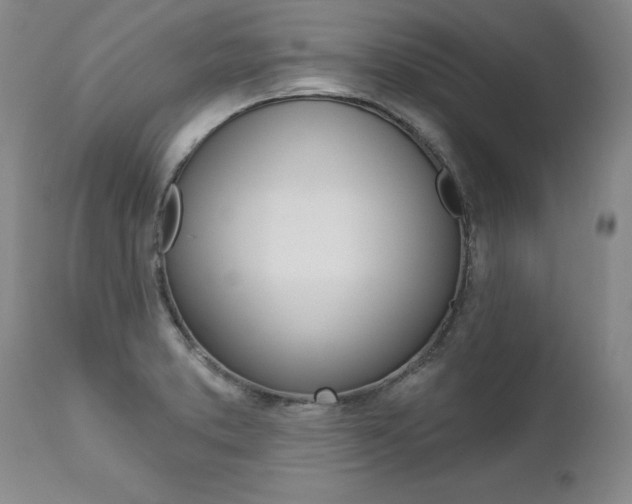 X0000112461373200908171006