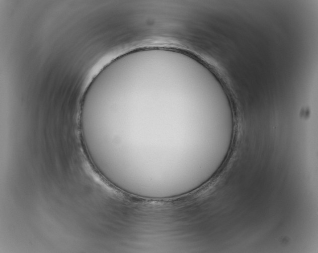 X0000112461374200908171006