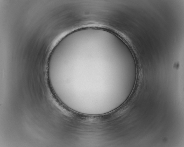 X0000112461375200908171006