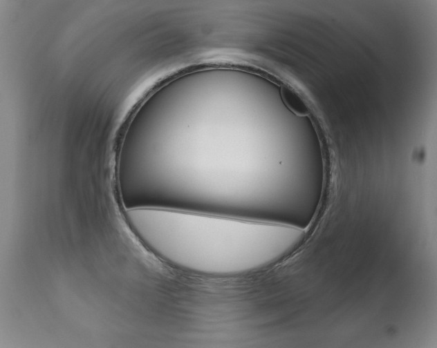 X0000112461376200908171006