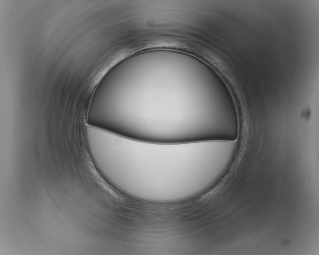 X0000112461377200908171006