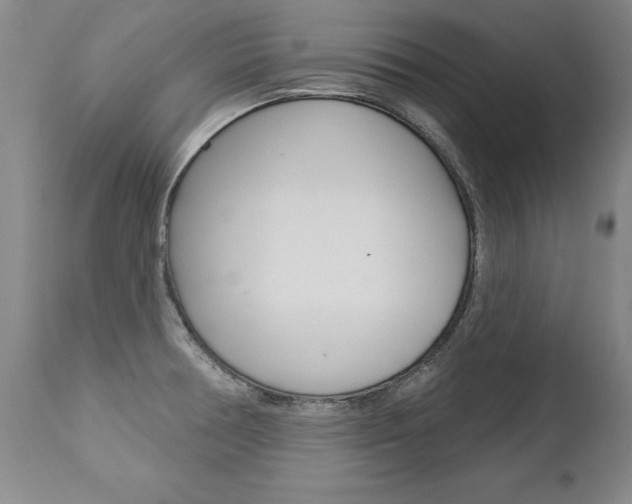 X0000112461378200908171006