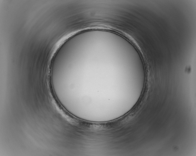 X0000112461379200908171006