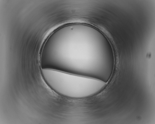 X0000112461380200908171006