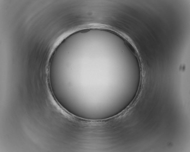 X0000112461381200908171006