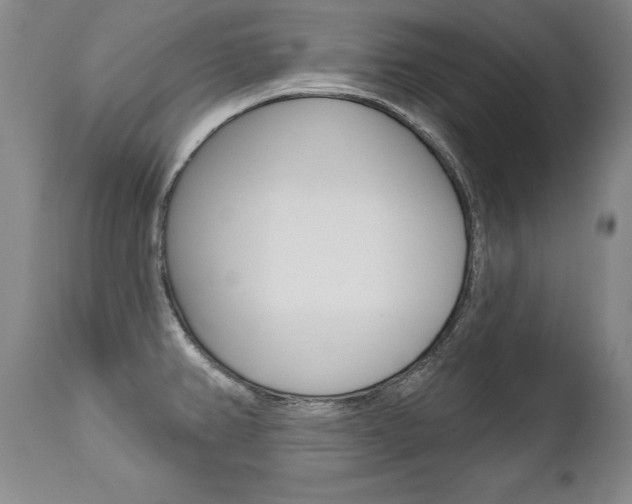 X0000112461382200908171005