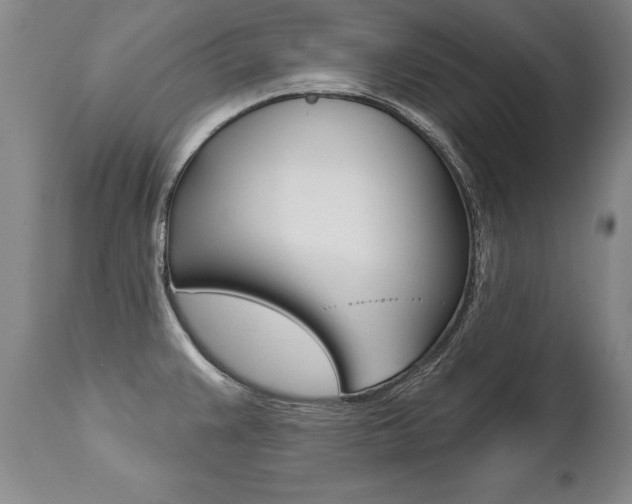 X0000112461383200908171005