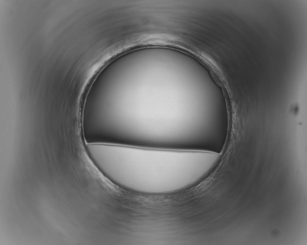 X0000112461384200908171005