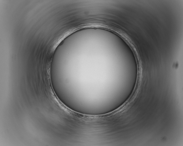 X0000112461385200908171005