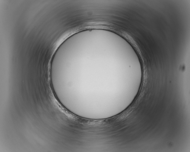 X0000112461386200908171005