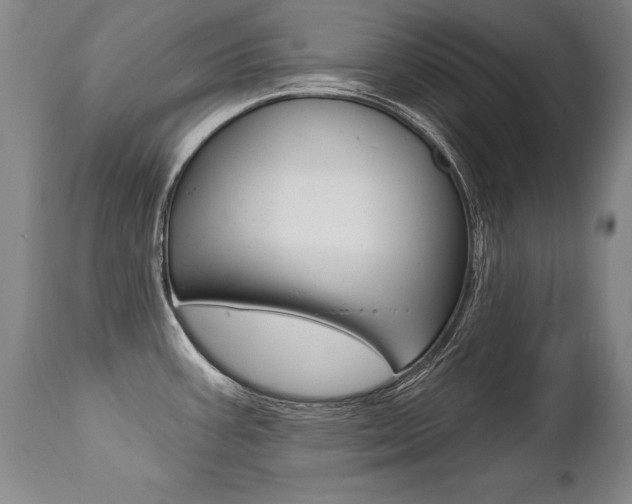 X0000112461387200908171005