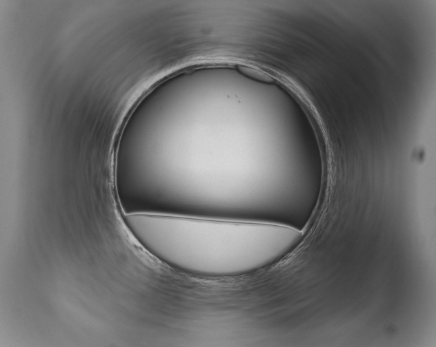 X0000112461388200908171005