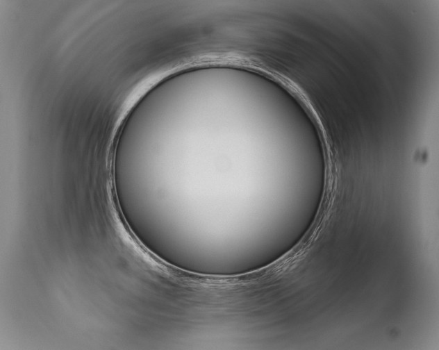 X0000112461389200908171005
