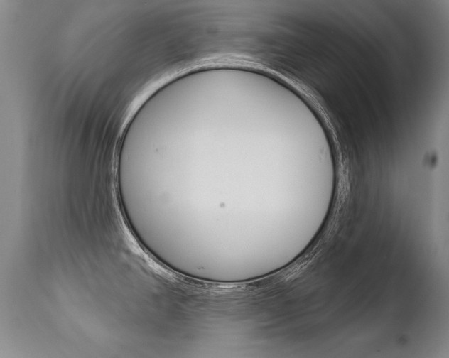 X0000112461390200908171005
