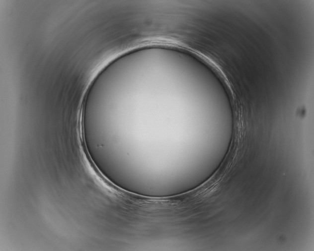 X0000112461391200908171005