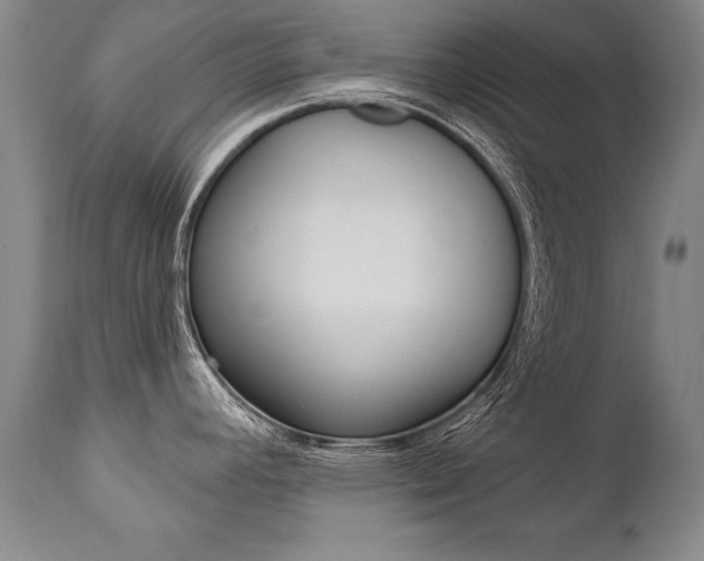 X0000112461392200908171005