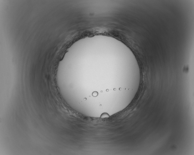 X0000112461393200908171005