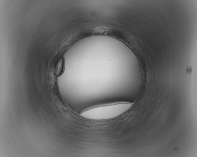 X0000112461394200908171005