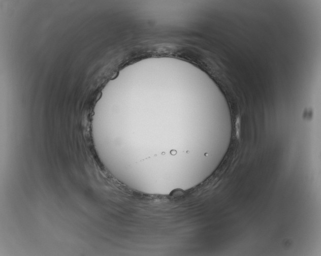 X0000112461395200908171005