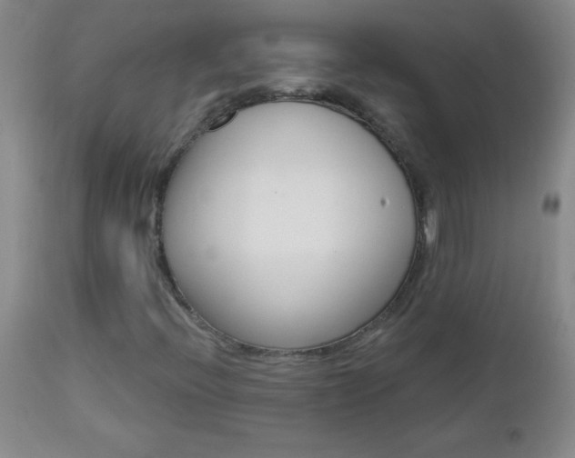 X0000112461396200908171005