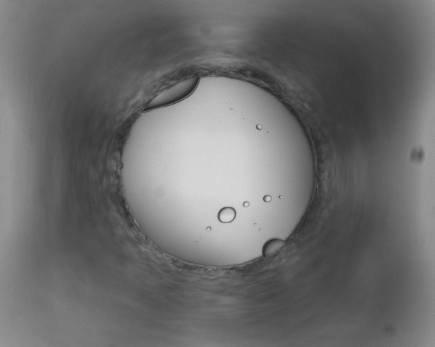 X0000112461397200908171005