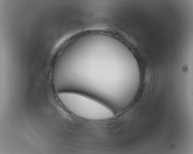 X0000112461400200908171005