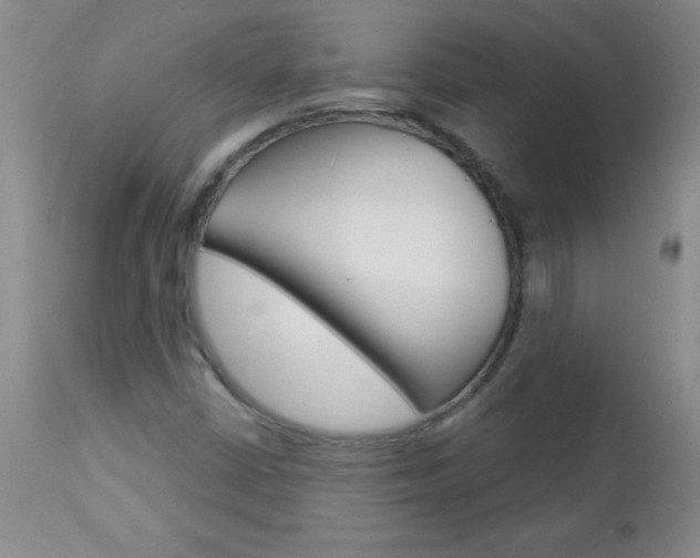 X0000112461402200908171005
