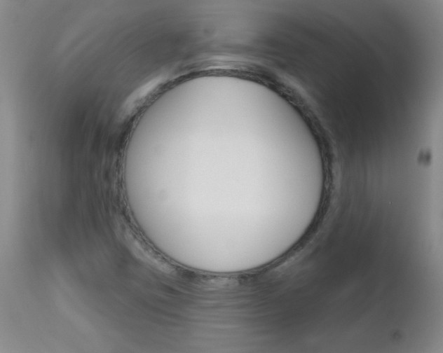 X0000112461403200908171005