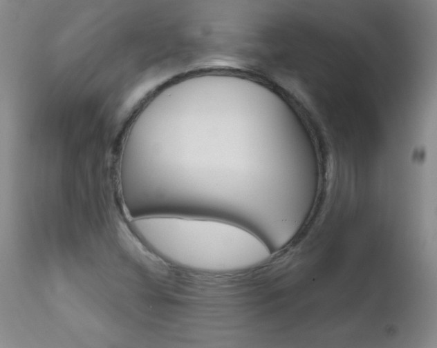 X0000112461404200908171005