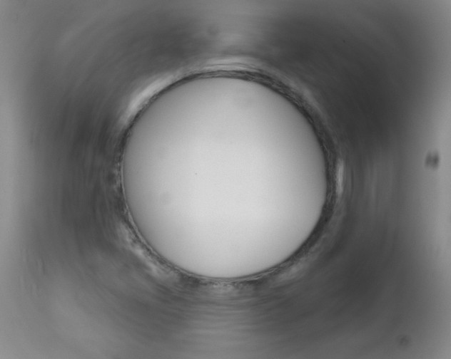 X0000112461405200908171005