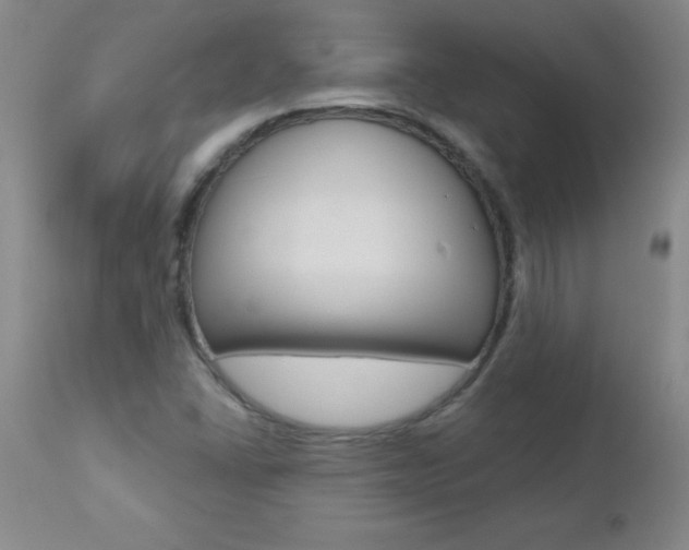 X0000112461406200908171005