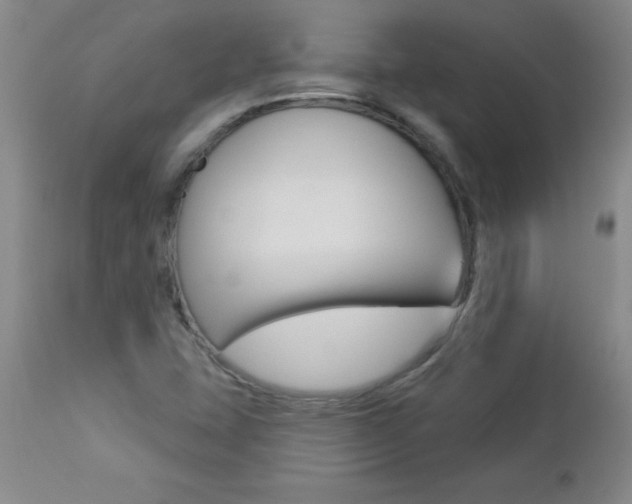 X0000112461407200908171005