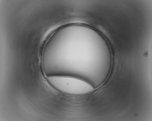 X0000112461408200908171005