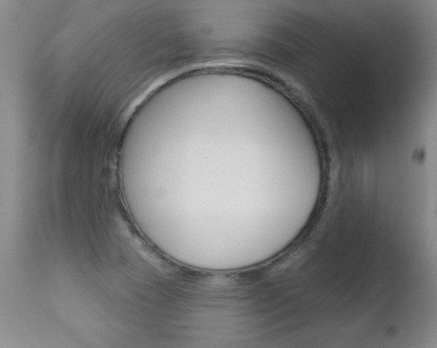 X0000112461409200908171005