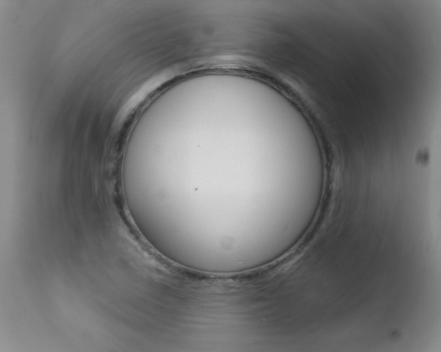 X0000112461410200908171005