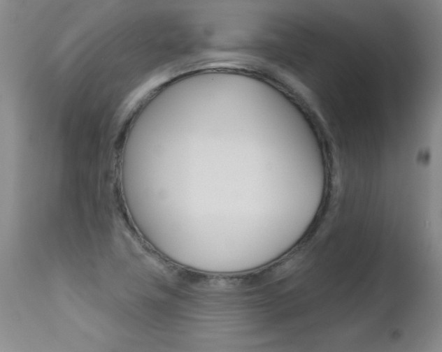 X0000112461411200908171005