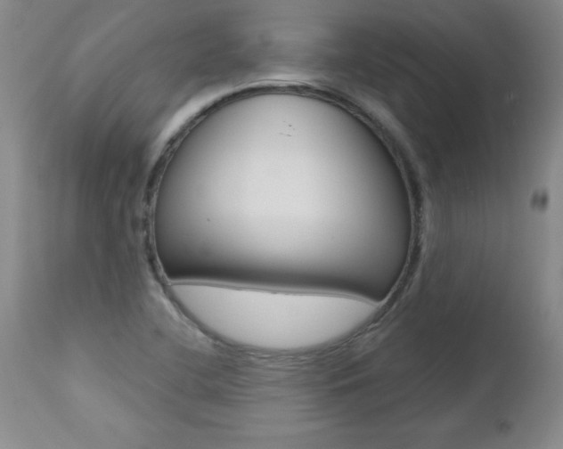 X0000112461412200908171005