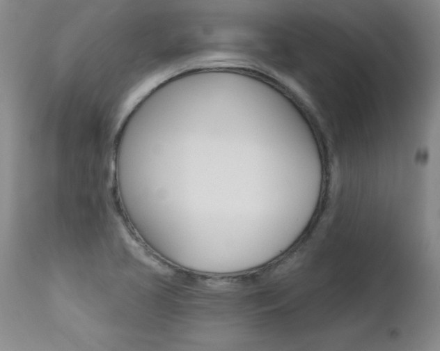 X0000112461413200908171005