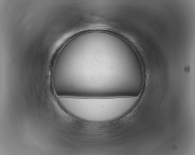 X0000112461414200908171005