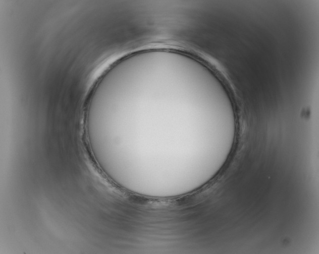 X0000112461415200908171005